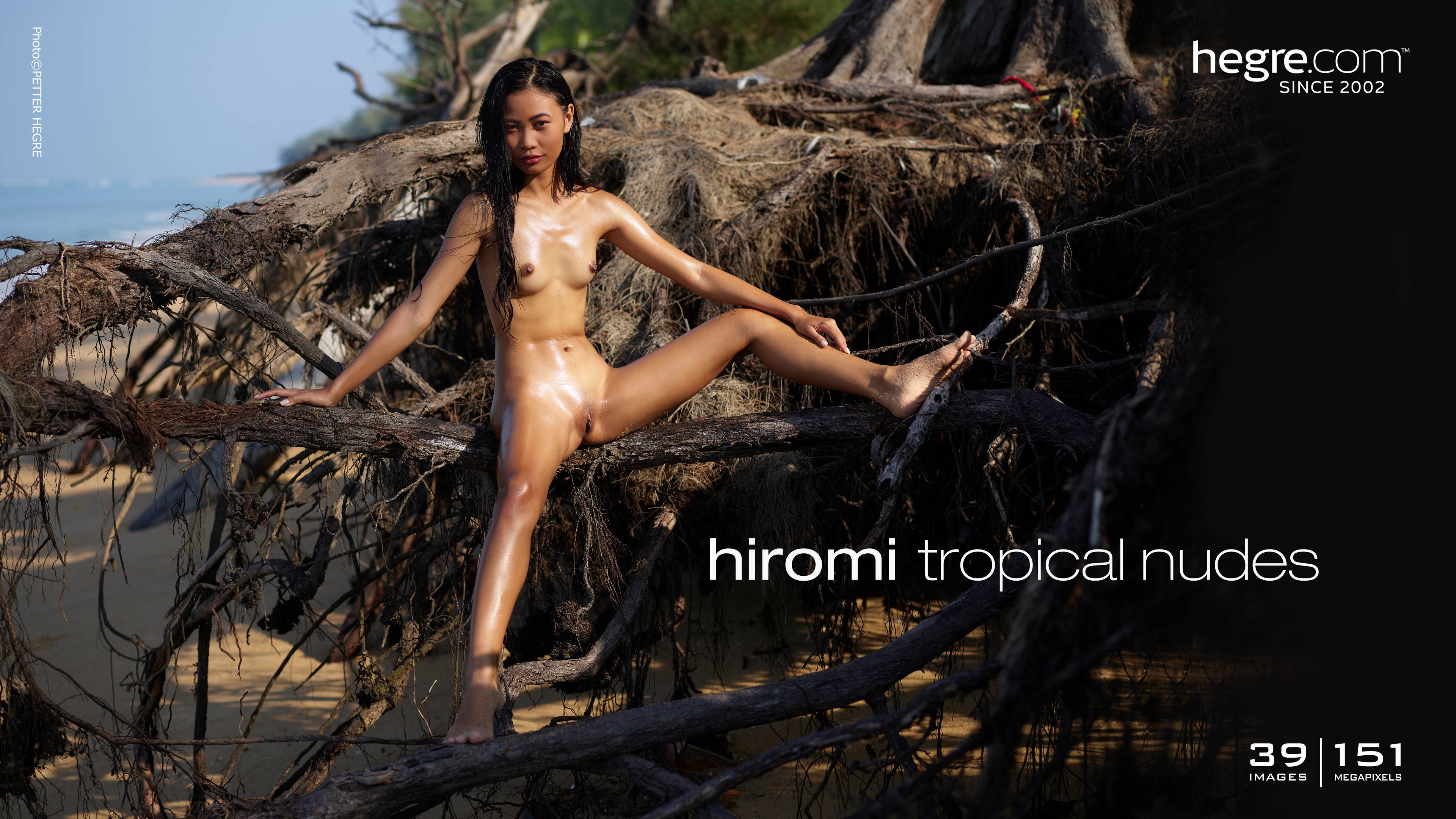 hiromi tropical nudes board