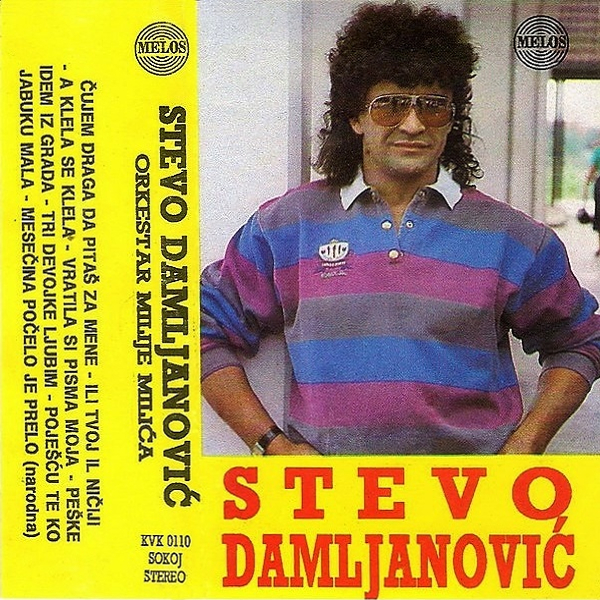 Stevo Damljanovic 1993 a