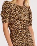44623164_1907SDC012685_Leopard_PRODUCT_0