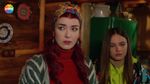 52988174_4683120.jpg