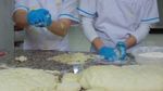54230365_183303.jpg