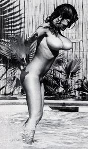 Vintage - Roberta Pedon-36xo5istki.jpg